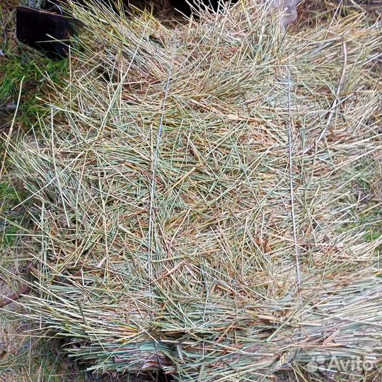 Сено в тюках