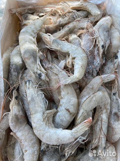 Креветка королевская 50/60