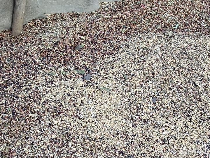 Зерновая смесь