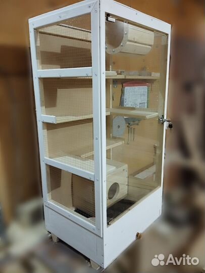 Витрина для шиншилл