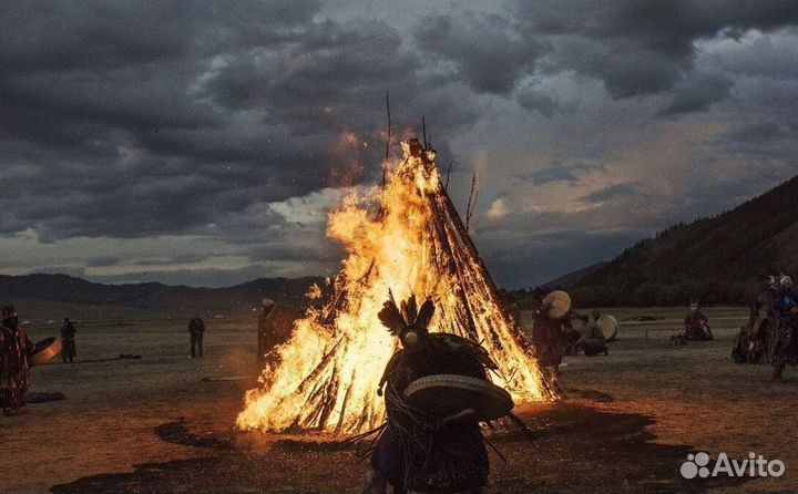 Чай пуэр « Космос шаманов » шмн10349