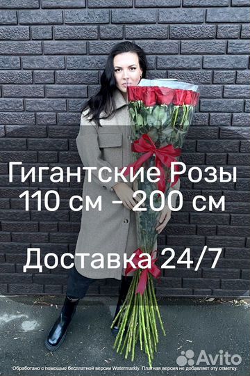 Метровые розы, доставка цветов Москва