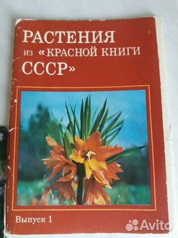 Растения из Красной книги СССР