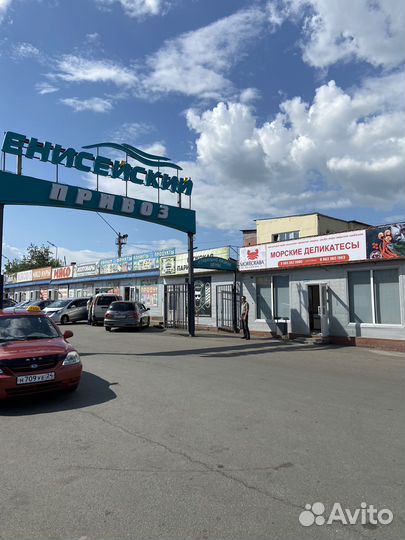 Лангустины L1 с головой