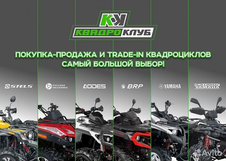 Квадроцикл promax (промакс) ATV 250 PRO skaut