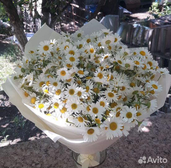 Ромашка, букет с ромашкой