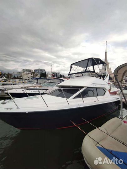 На яхте к дельфинам в Сочи