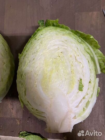 Капуста оптом без посредников