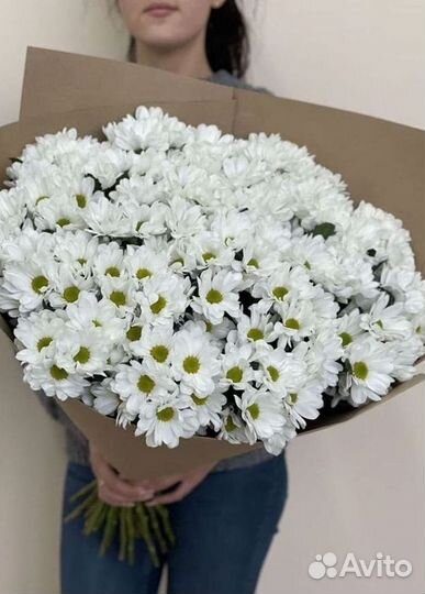 Хризантема Букет хризантем Доставка