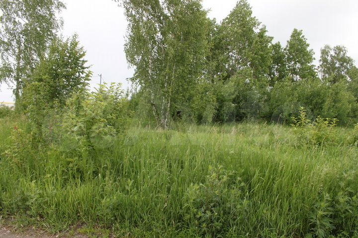 Участок 12 сот. (ИЖС)