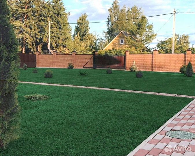 Рулонный газон