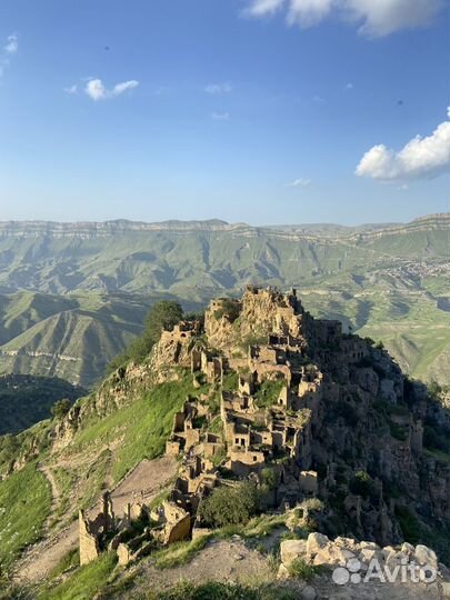 Личный водитель, индивидуальные туры