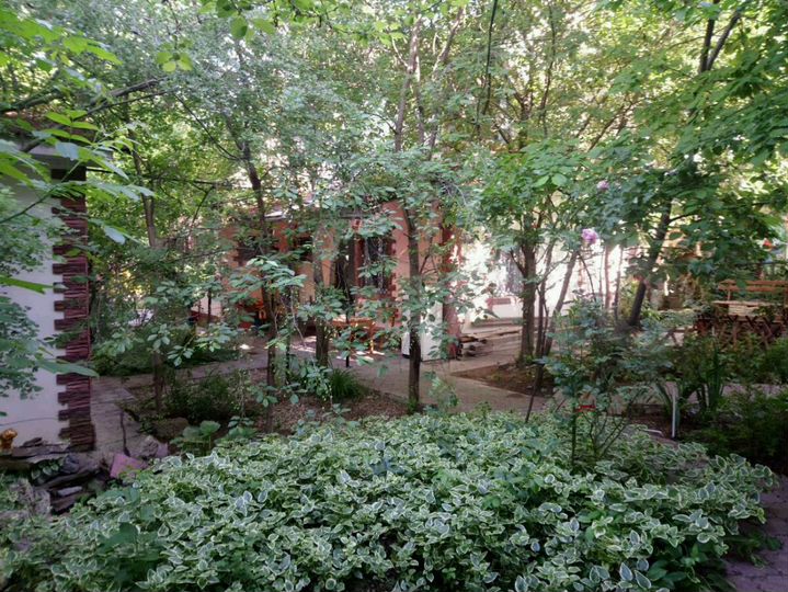 Комната 14 м², 1/2 эт.