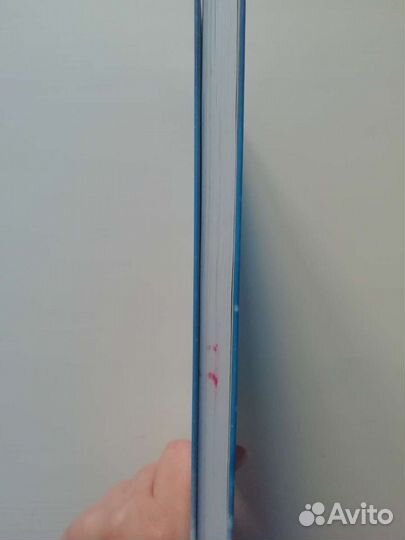 Котенок Пушинка или рождественское чудо