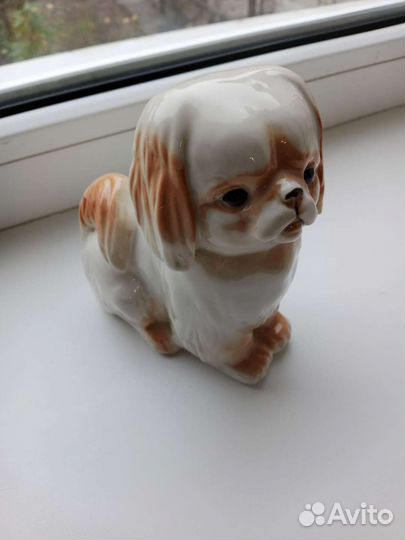 Пекинес СССР