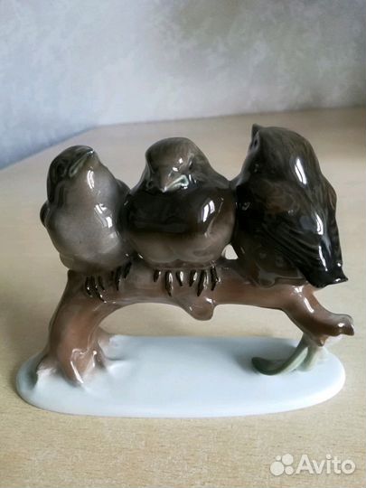 Три воробья на ветке. Rosenthal
