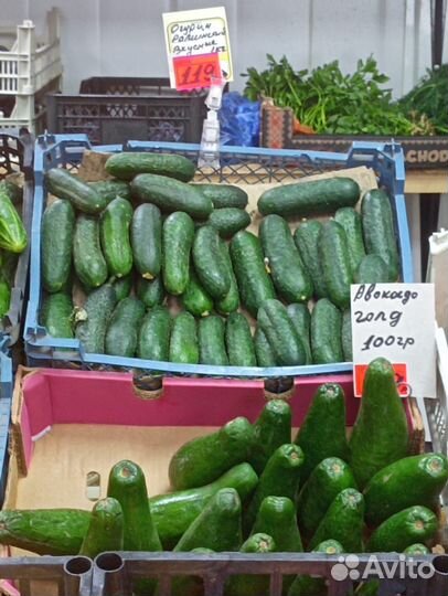 Овощи фрукты