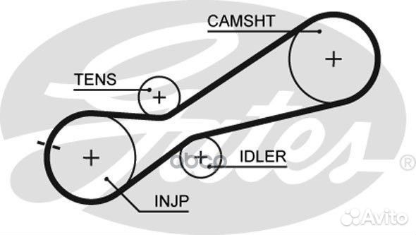 5345XS 97080x21 Ремень грм 5345XS Gates