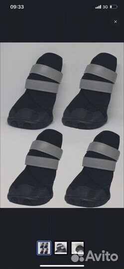 Обувь для собак