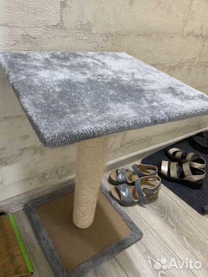 Когтеточка бу