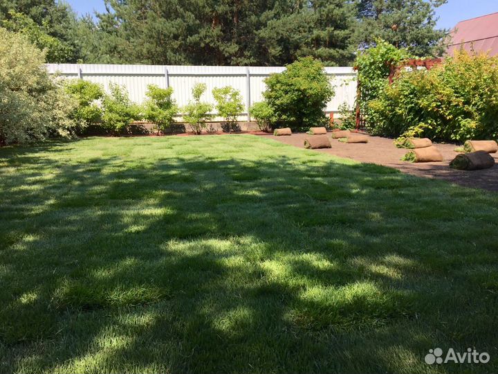 Рулонный газон