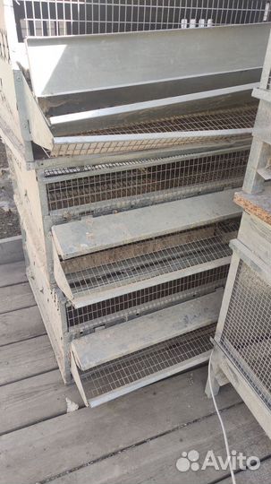 Клетки для перепелов бу