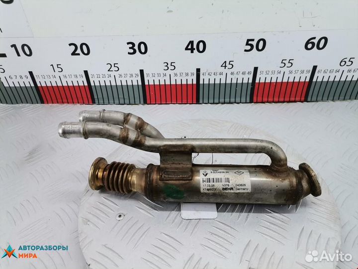 Охладитель EGR / Радиатор EGR Renault Laguna