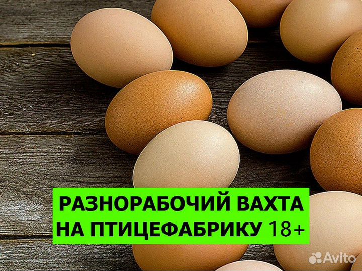 Разнорабочий в цех фасовки яиц вахта Выселки 18+