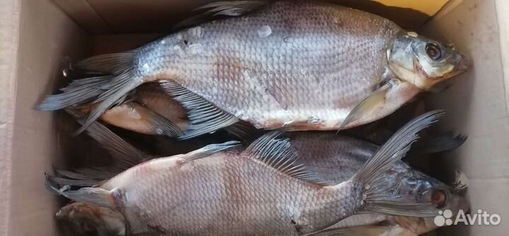 Рыба вяленая