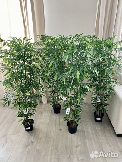 Искусственные растения