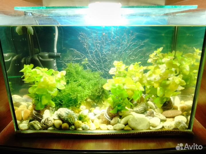 Аквариум