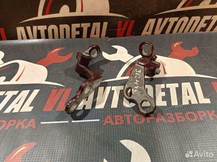 Петли двери задней Ford Focus 2