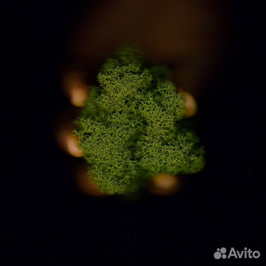 Боевой камуфляжный костюм "каракурт". Мох олива. Мох олива. Футболка легион. Куртка stich profi.