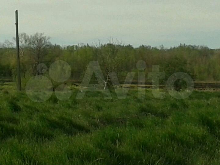 Дом 135 м² на участке 100 сот.