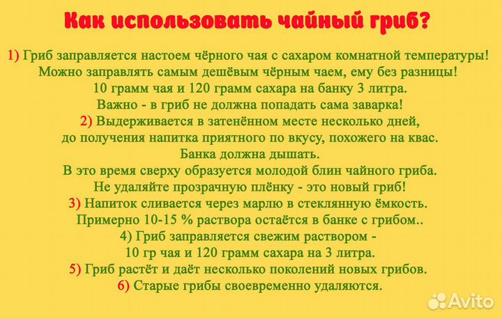 Чайный гриб \\ Комбуча \\ Чайный квас