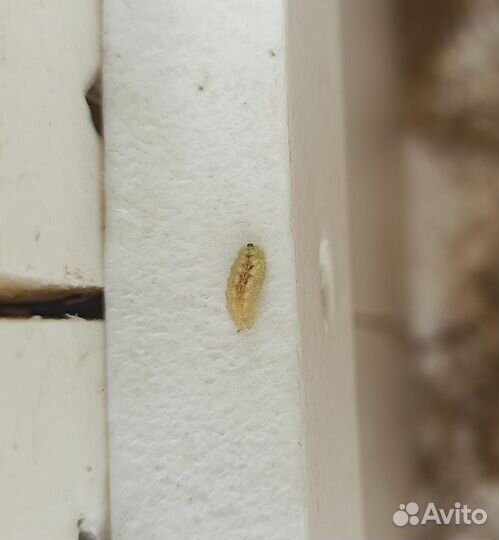 Деревянные ящики-сундуки