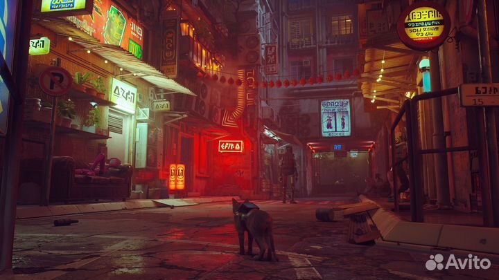 Stray (PS4, PS5)