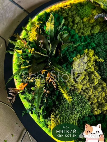 Круглое панно из стабилизированного мха