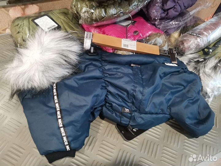 Комбинезоны для собаки