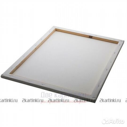 Картина по номерам 40x50 Профиль красивой девушки