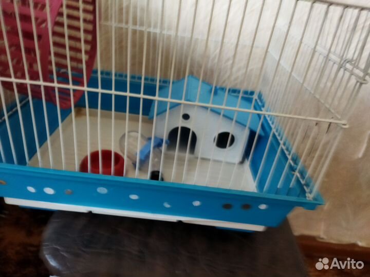 Клетка для хомяка бу