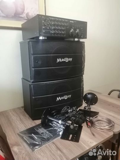 Аудиосистема. караоке