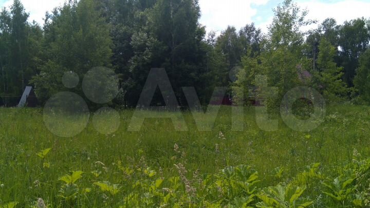 Участок 12 сот. (СНТ, ДНП)