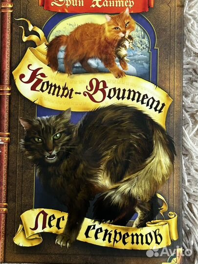 Лес секретов. Котя Воители