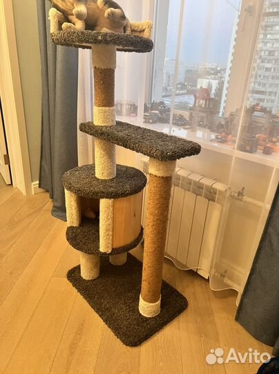 Когтеточка с домиком для кошки