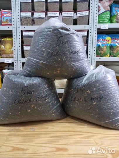 Семя подсолнуха