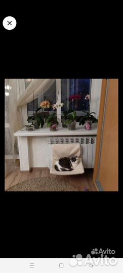 Гамак для кошек и маленьких собак до 6 кг