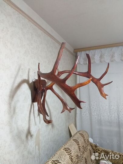 Продам рога