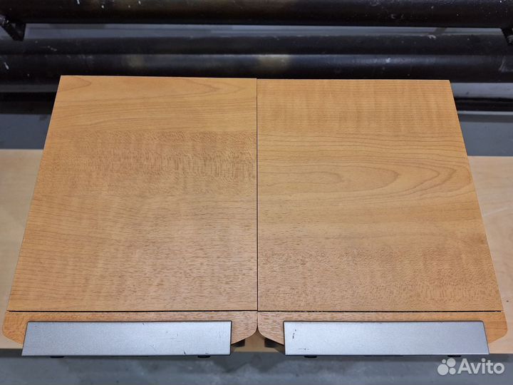 Колонки Sony SS-NX1, 100Вт