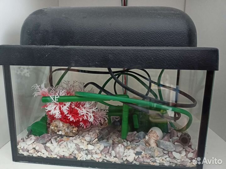 Аквариум 3л